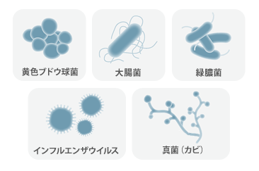 幅広い菌やウイルスに効果を発揮!