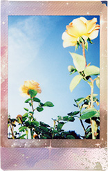 ���i�̍��