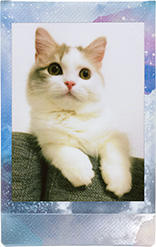 ���i�̍��