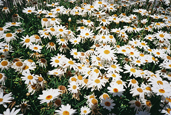 ���i�̍��