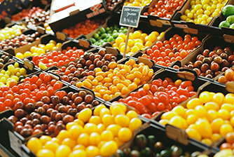 FUJIFILM 400 36枚撮り: フィルム | フジフイルムモール