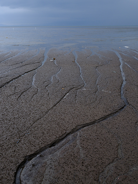 海
