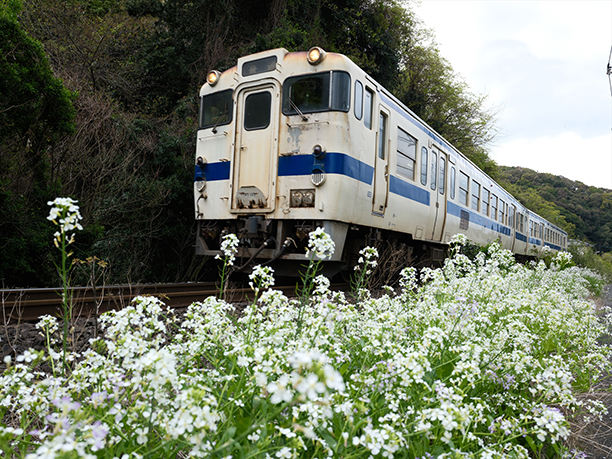 電車