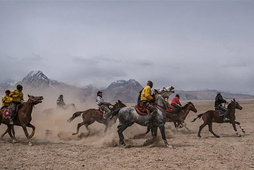 高速‧高精度AF