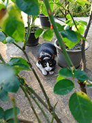 ���i�̍��