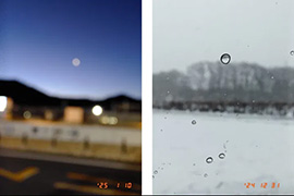 ���i�̍��