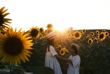 幅広いシーンで美しいボケ