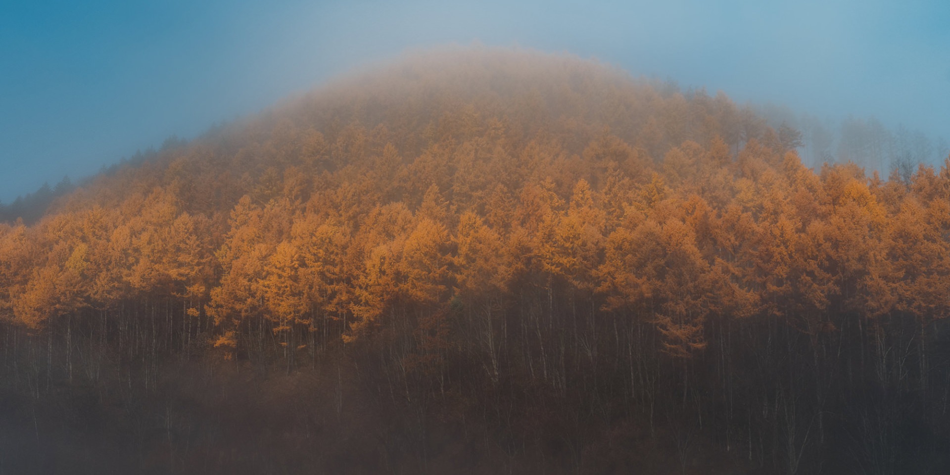 GFX100Sで撮る、北海道・美瑛の秋の終わり、冬のはじまり