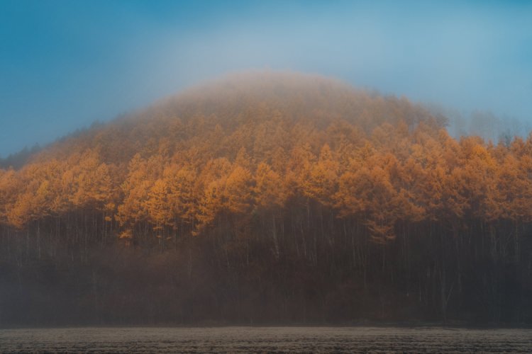 GFX100Sで撮る、北海道・美瑛の秋の終わり、冬のはじまり