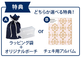 【期間限定セット品】“チェキ” instax mini 41+チェキ専用フィルム1パック